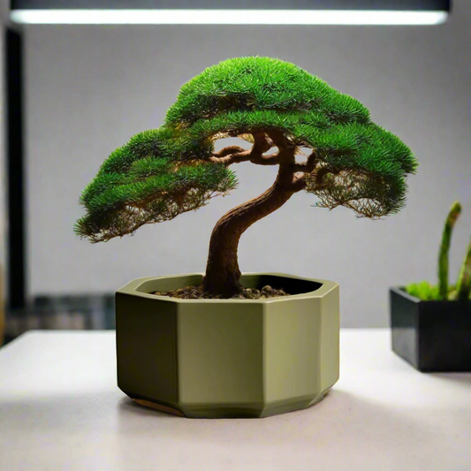 🌿 Octagonal Bonsai Pot – Modern Minimalist Planter for Bonsai Trees 3D Printed In Multiple Color Options🪴