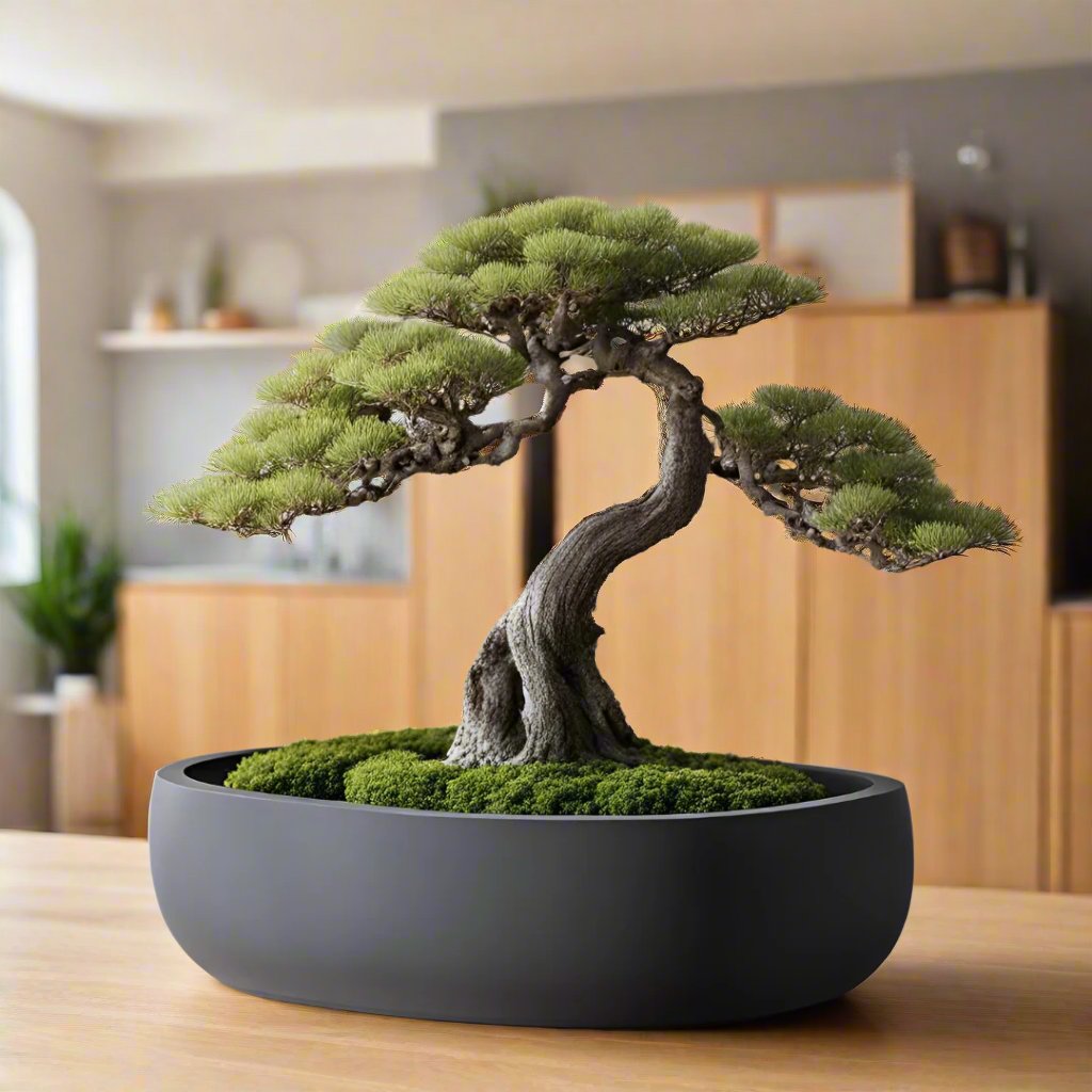 πΏ Round Bonsai Pot β Modern Minimalist Planter for Bonsai, Succulents & Cacti 3D Printed In Multiple Color Options