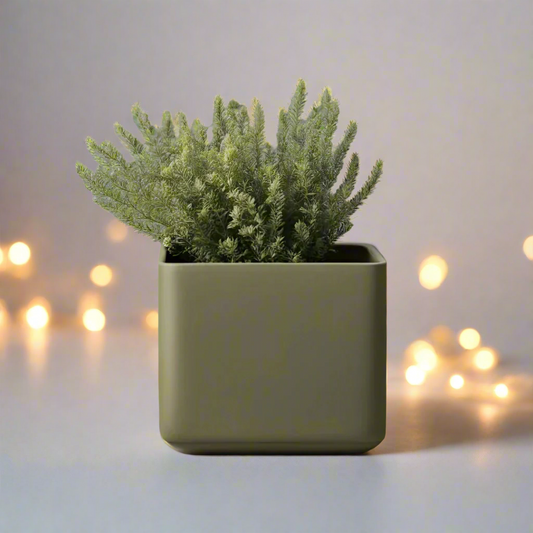 ⬛ Minimalist Cube Planter – Modern Elegance for Small Plants 3D Printed In Multiple Color Options