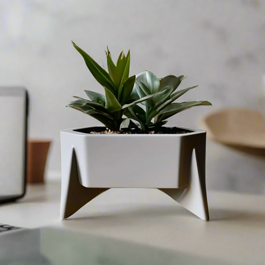 πΏ Hexagonal Mid-Century Planter β Stylish Geometric Design for Your Plants 3D Printed In Multiple Color Options