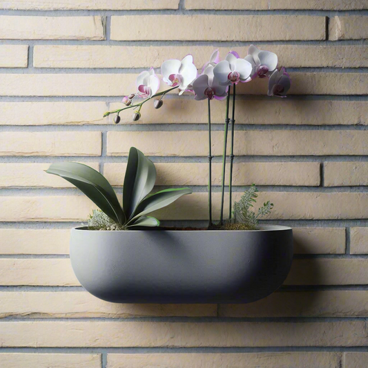 🌿 Floating Orchid Wall Planter – 3D-Printed Vertical Garden Art | Eco-Chic Decor 3D Printed In Multiple Color Options 🌸