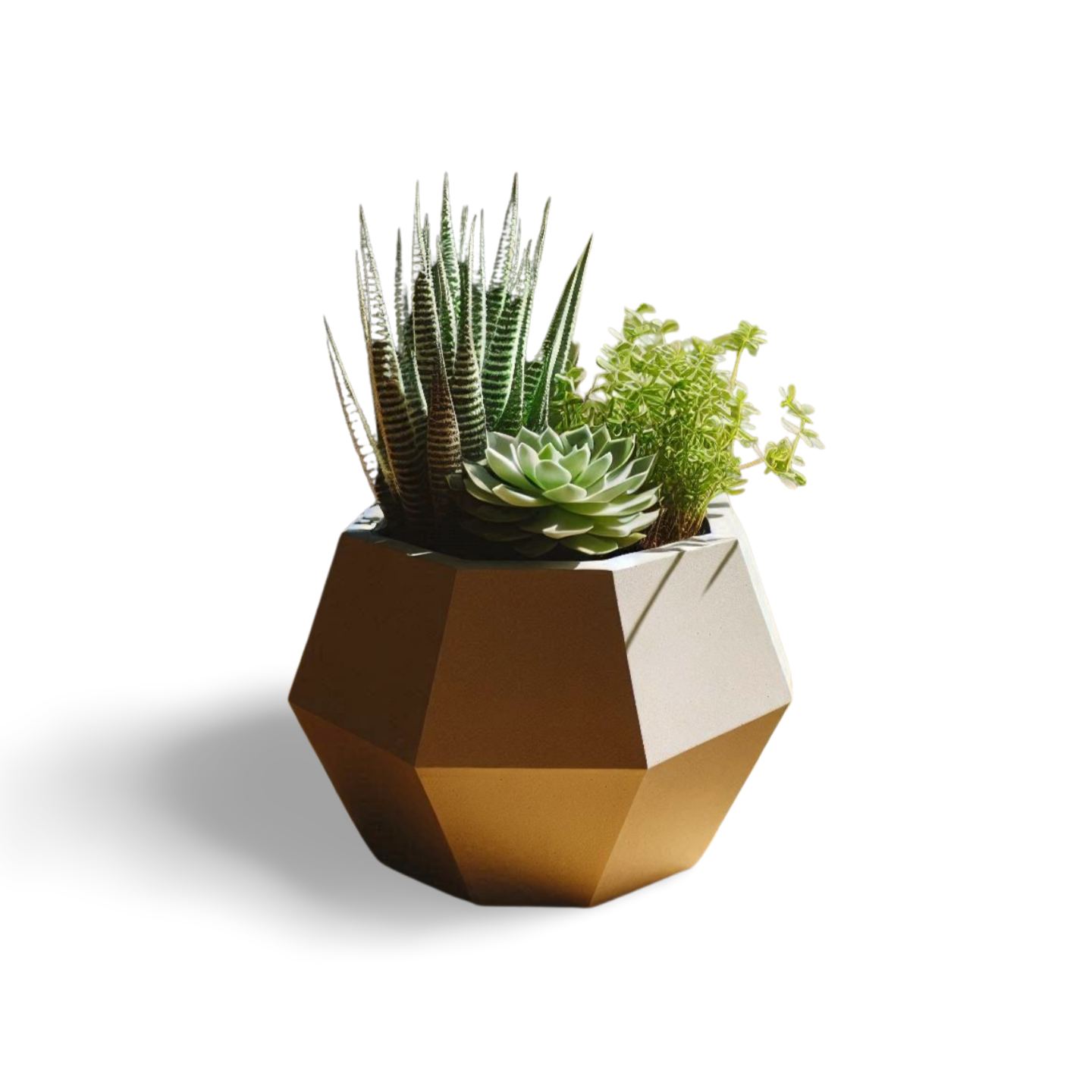 ✨ Geometric Succulent Planter – Modern Octagonal Home Decor | Eco-Chic Design 3D Printed In Multiple Color Options 🌵