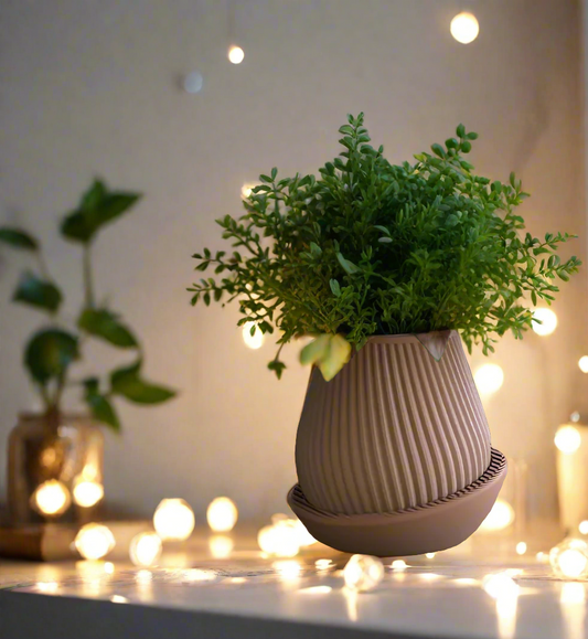 ðŠī Minimalist Geometric Planter â Modern Lined Design for Succulents & Small Plants 3D Printed In Multiple Color Options