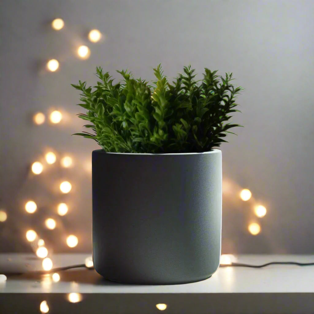 πΏ Round Succulent Planter β Modern Minimalism for Your Green Oasis 3D Printed In Multiple Color Options