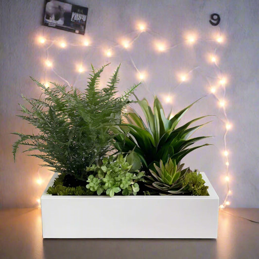 πͺ΄β¨ Modern Low Profile Rectangular Planter β Sleek, Stylish, 3D Printed In Multiple Color Options