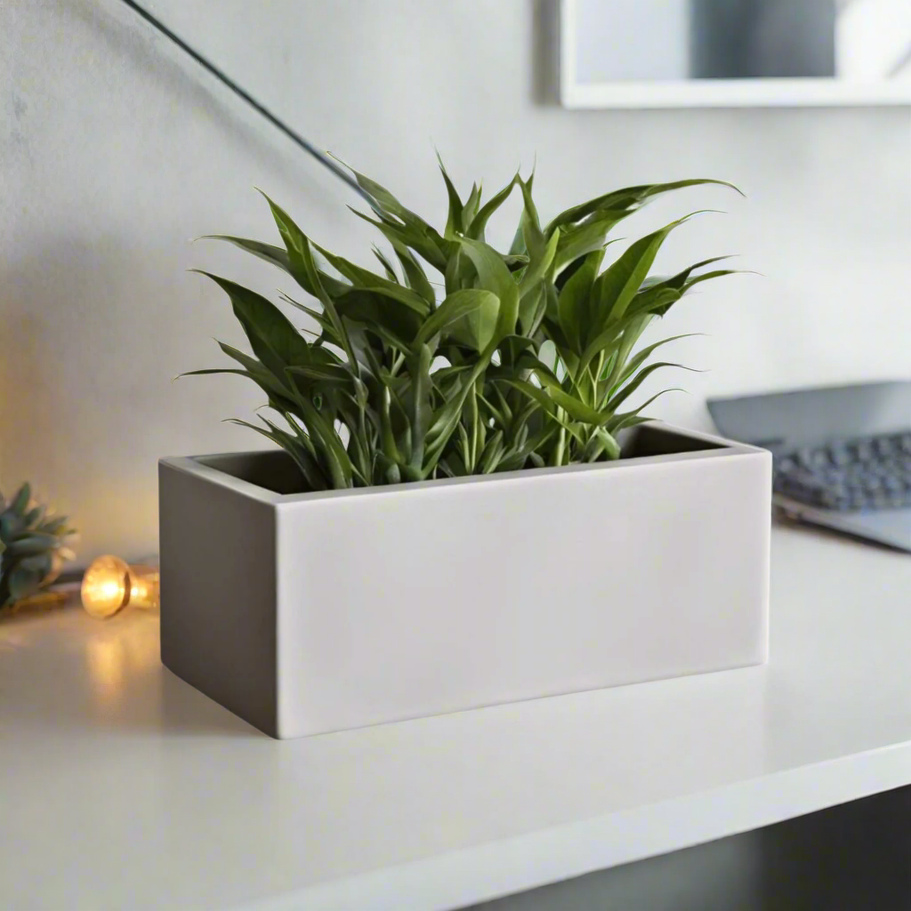 Modern Rectangular Planter 7" Minimalist Pot 3D Printed In Multiple Color Options