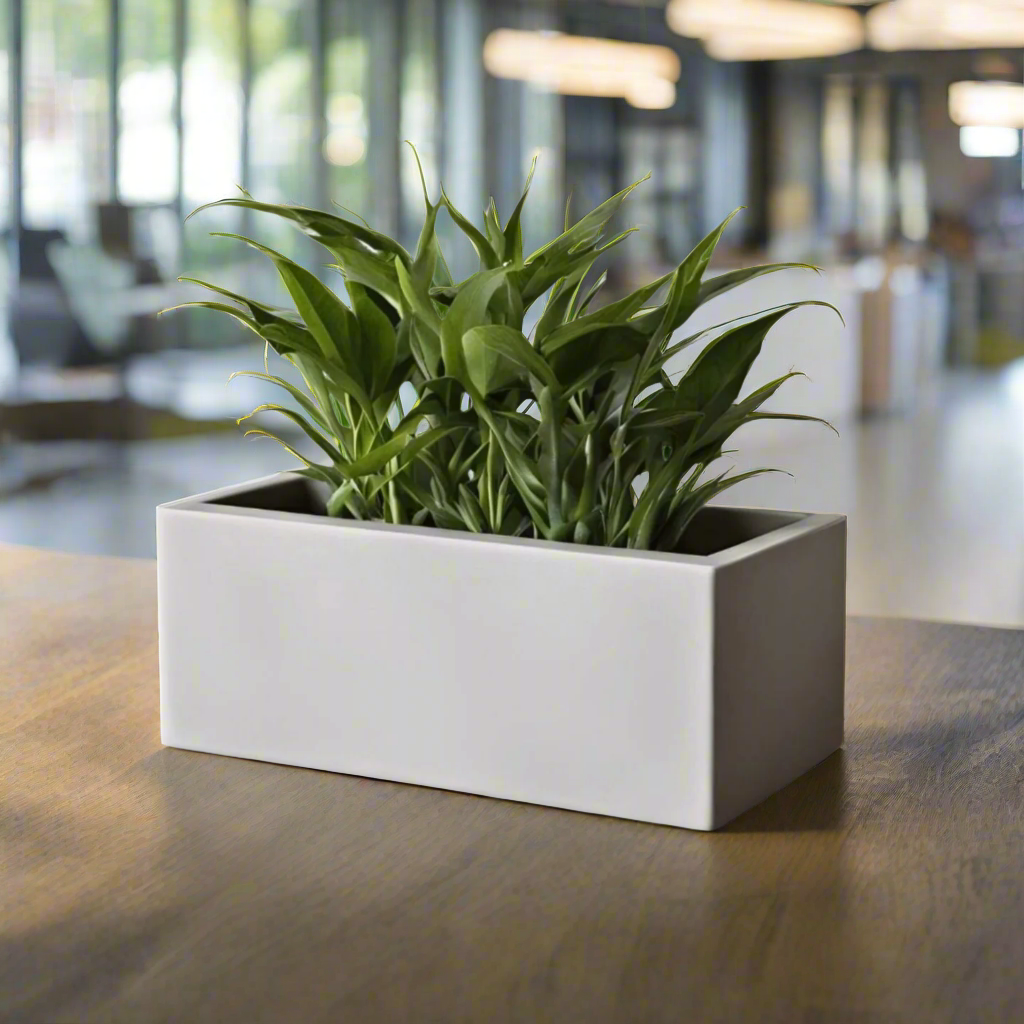 Modern Rectangular Planter 7" Minimalist Pot 3D Printed In Multiple Color Options