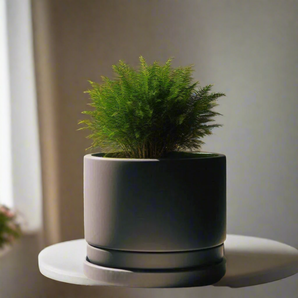 πΏ Modern Minimalist Planter with Bottom Bowl β Sleek Design for Effortless Indoor Gardening