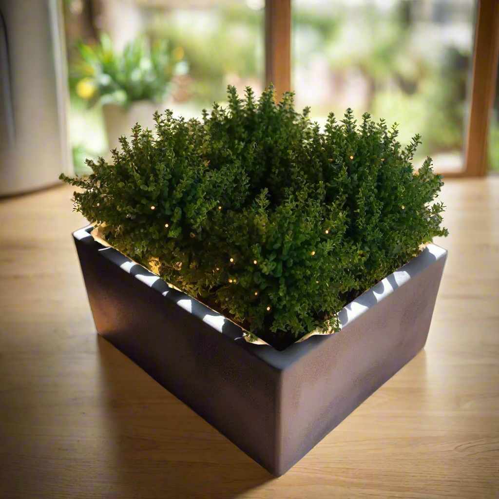 π΅ Square Succulent Planter β Modern Minimalism for Your Greenery 3D Printed In Multiple Color Options