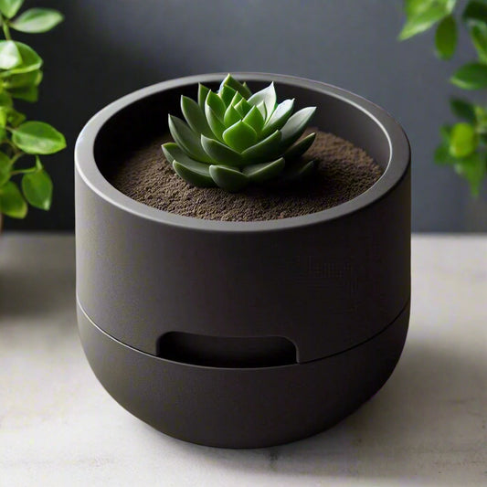 π±Self-Watering Succulent Planter For Effortless Plant Careπ§In Multiple Color Options And 3D Printed