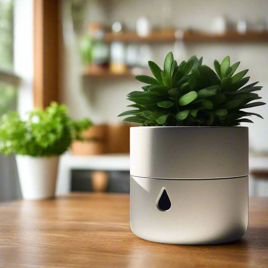 πΏ Dropster Self-Watering Planter β Effortless Style for Thriving Plants 3D Printed In Multiple Color Options