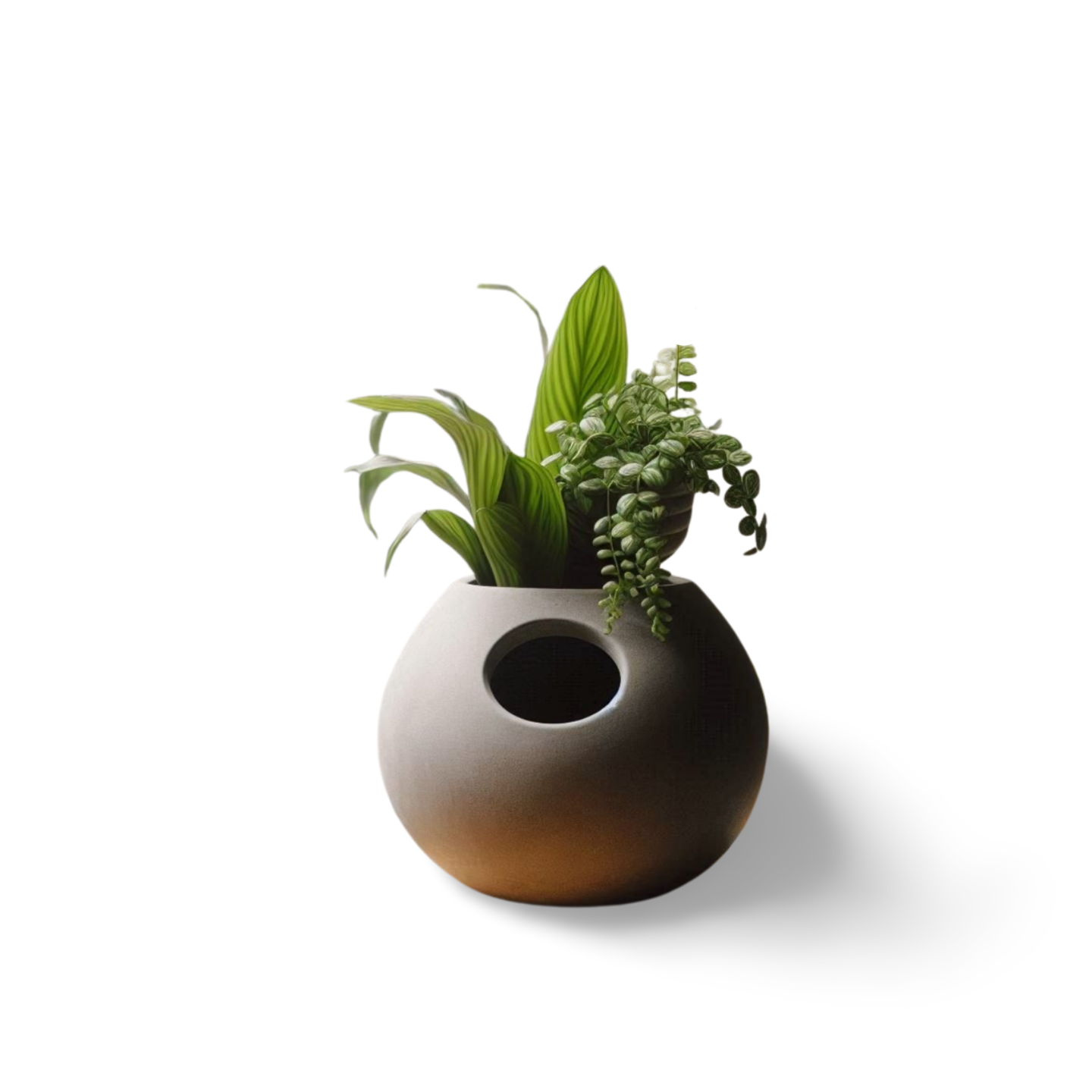 🌿 Stylish Self-Watering Plant Pot – Smart 3D-Printed Planter 3D Printed In Multiple Color Options