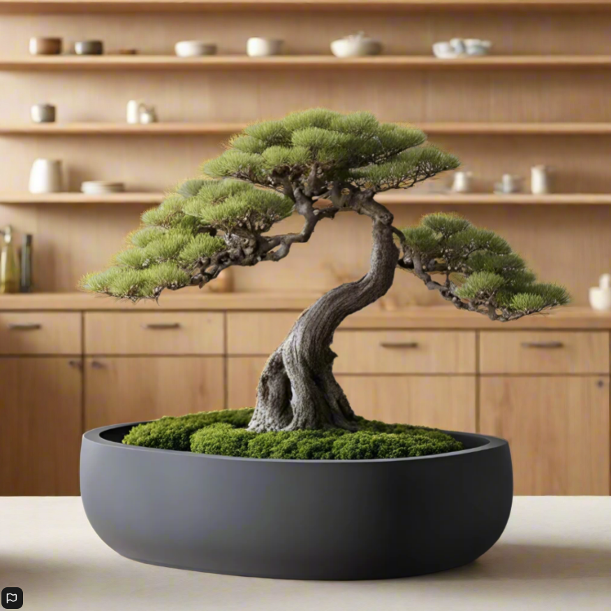 πΏ Round Bonsai Pot β Modern Minimalist Planter for Bonsai, Succulents & Cacti 3D Printed In Multiple Color Options