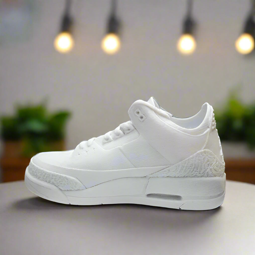 π Jordan 3 Sneaker Planter | Sneakerhead Decor Gift πΏ 3D Printed In Multiple Color Options