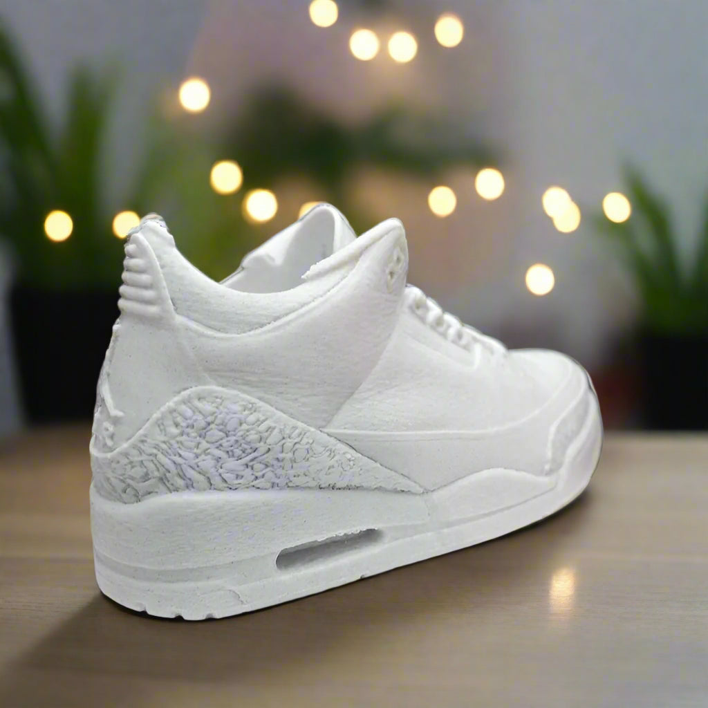 π Jordan 3 Sneaker Planter | Sneakerhead Decor Gift πΏ 3D Printed In Multiple Color Options