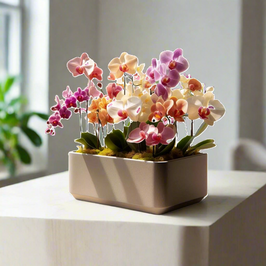 πΈ Modern Rectangular Orchid Planter β Sleek Elegance for Your Blooming Beauties 3D Printed In Multiple Color Options