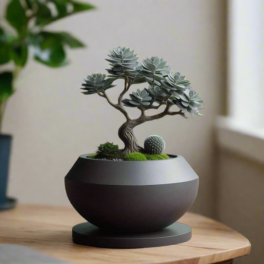 🌿 Modern Bonsai Pot – Sleek Minimalist Planter for Bonsai Trees & Succulents 3D Printed In Multiple Color Options