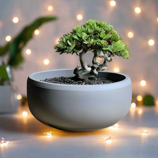 🌿 Flat Design Bonsai Pot – Minimalist Elegance for Your Indoor Garden  3D Printed In Multiple Color Options