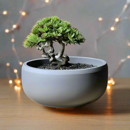 🌿 Flat Design Bonsai Pot – Minimalist Elegance for Your Indoor Garden  3D Printed In Multiple Color Options