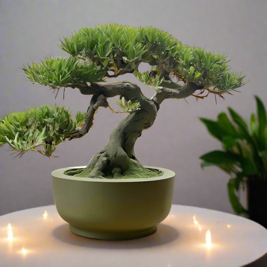 🌿 Round Minimalist Bonsai Pot – Modern Elegance for Your Indoor Garden 3D Printed In Multiple Color Options
