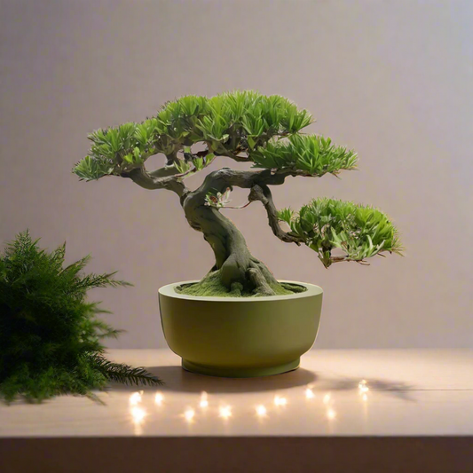 🌿 Round Minimalist Bonsai Pot – Modern Elegance for Your Indoor Garden 3D Printed In Multiple Color Options