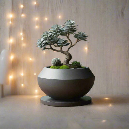 🌿 Modern Bonsai Pot – Sleek Minimalist Planter for Bonsai Trees & Succulents 3D Printed In Multiple Color Options