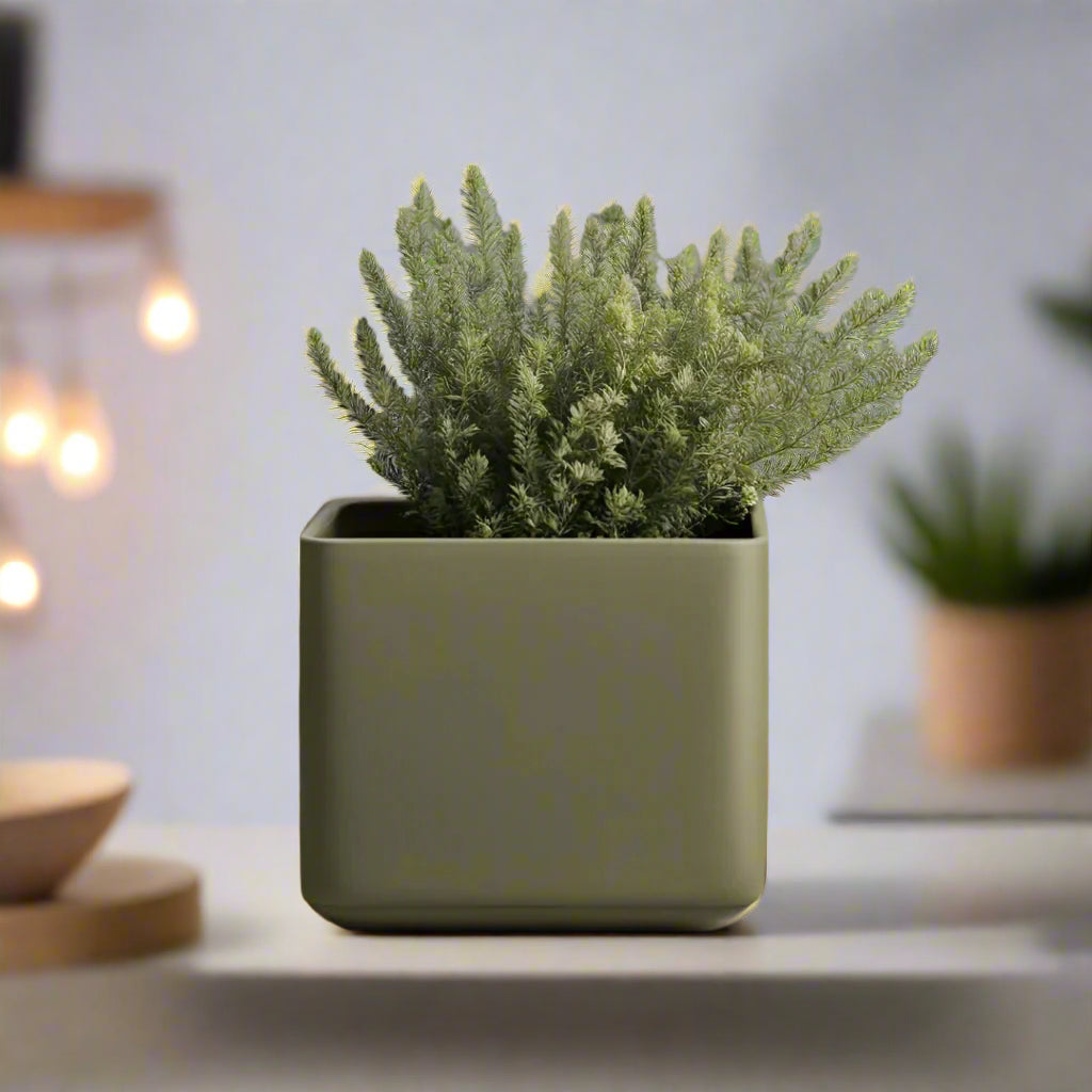 ⬛ Minimalist Cube Planter – Modern Elegance for Small Plants | Customizable | 50+ Colors | 3D Printed