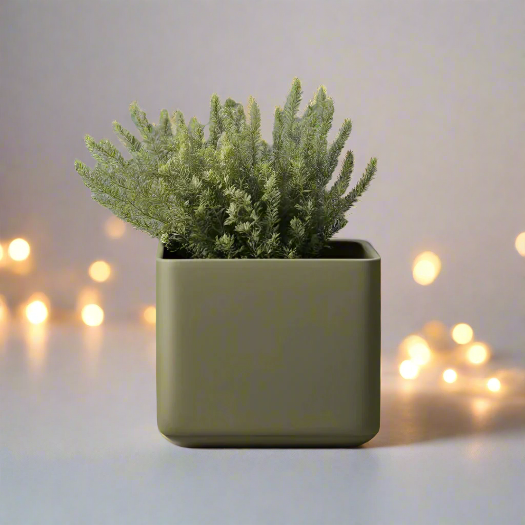 ⬛ Minimalist Cube Planter – Modern Elegance for Small Plants | Customizable | 50+ Colors | 3D Printed