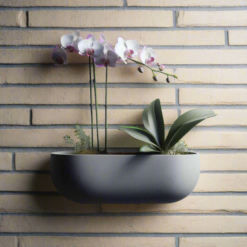 Wall Hanging Orchid Plant Pot, Home Decor | Customizable | 50+ Colors | 3D Printed