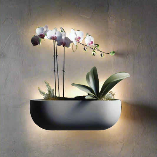 🌿 Floating Orchid Wall Planter – 3D-Printed Vertical Garden Art | Eco-Chic Decor 3D Printed In Multiple Color Options 🌸