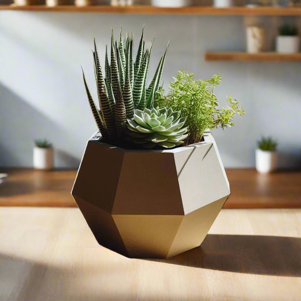 Geometric Succulent Planter, Modern Home Decor | Customizable | 50+ Colors | 3D Printed