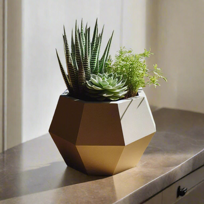 Geometric Succulent Planter, Modern Home Decor | Customizable | 50+ Colors | 3D Printed