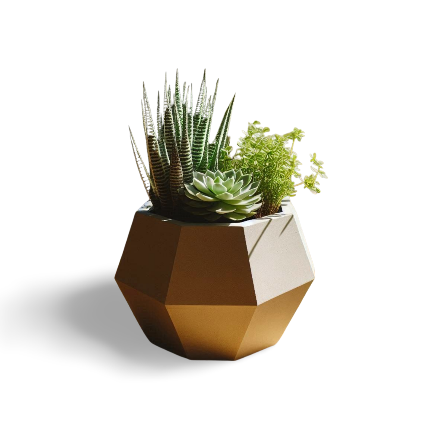 Geometric Succulent Planter, Modern Home Decor | Customizable | 50+ Colors | 3D Printed