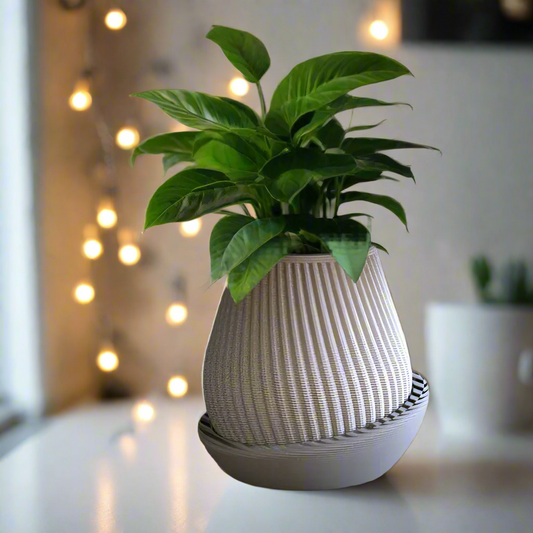 🪴 Minimalist Geometric Planter – Modern Lined Design for Succulents & Small Plants 3D Printed In Multiple Color Options
