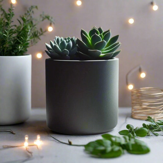 🌿 Round Succulent Planter – Modern Minimalism for Your Green Oasis 3D Printed In Multiple Color Options