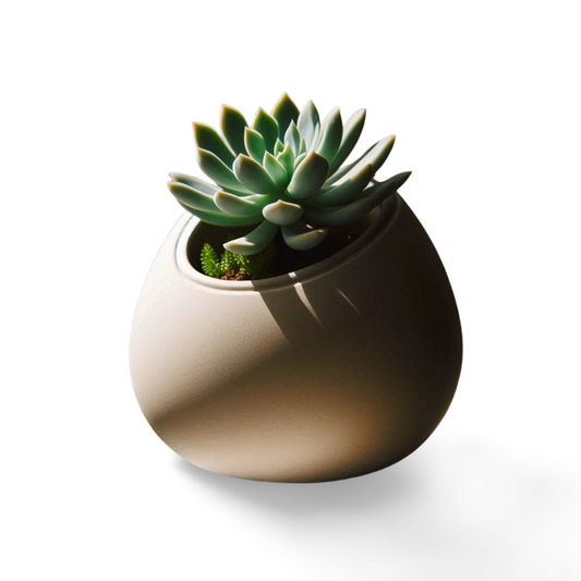 Egg-Shaped Planter, Modern Succulent Home Decor  | Customizable | 50+ Colors | 3D Printed