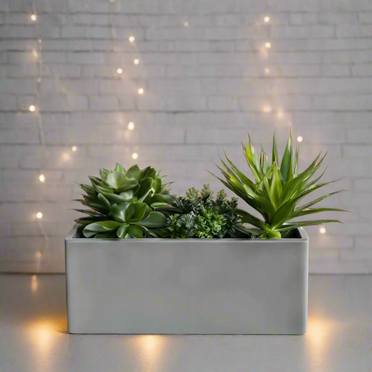 🪴✨ Modern Low Profile Rectangular Planter – Sleek, Stylish, 3D Printed In Multiple Color Options