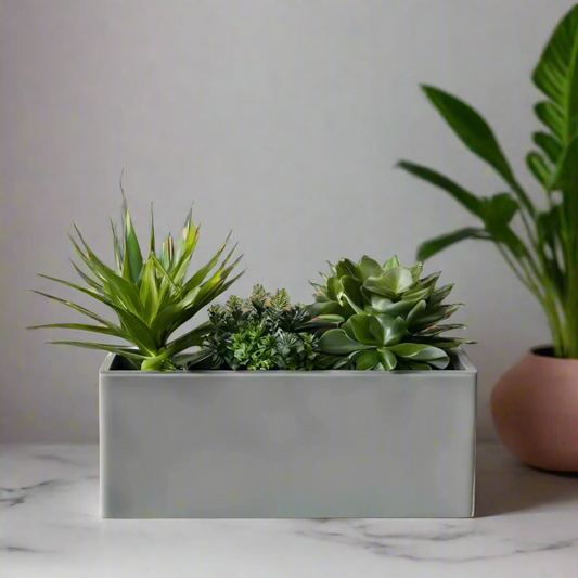 🪴✨ Modern Low Profile Rectangular Planter – Sleek, Stylish, 3D Printed In Multiple Color Options