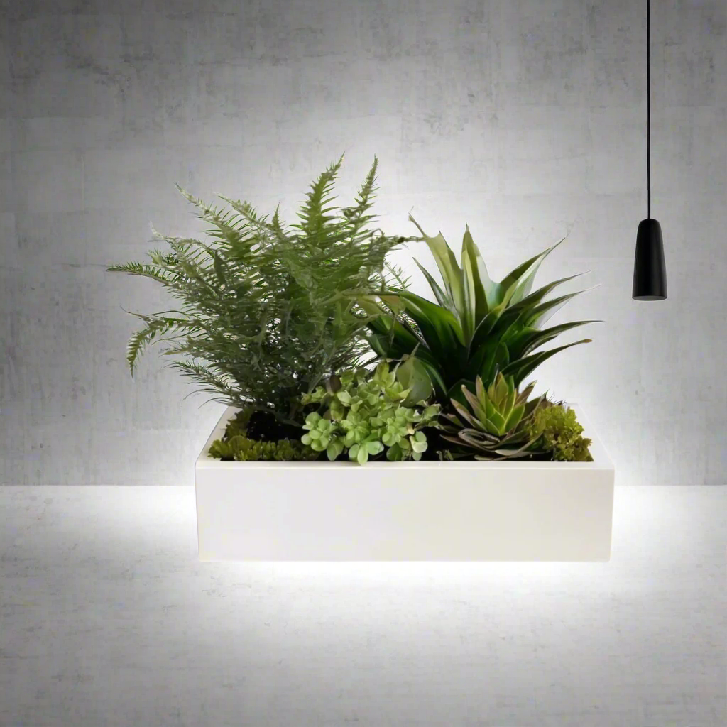 🪴✨ Modern Low Profile Rectangular Planter – Sleek, Stylish, 3D Printed In Multiple Color Options
