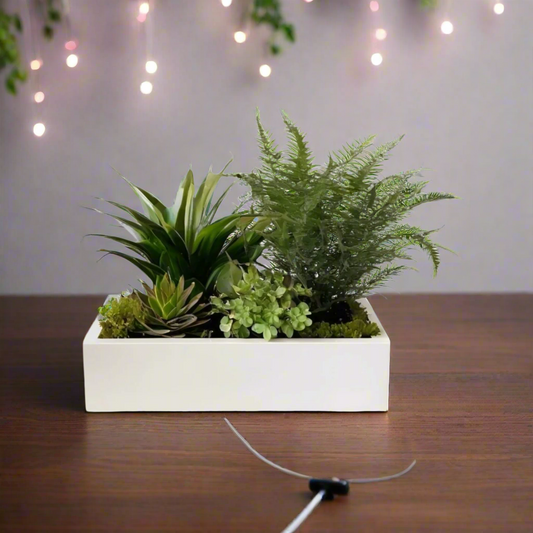 🪴✨ Modern Low Profile Rectangular Planter – Sleek, Stylish, 3D Printed In Multiple Color Options
