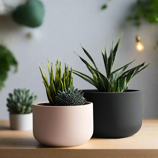 🌿 Minimalist Round Planter Set – Modern Style for Your Indoor Garden 3D Printed In Multiple Color Options