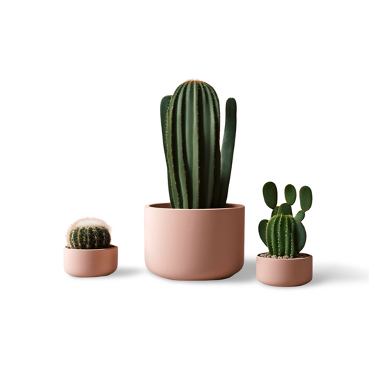 🌵 Cacti Planter Set Trio – Modern Style for Succulents & Small Plants | Modern Succulent Pots | Customizable | 50+ Colors | 3D Printed