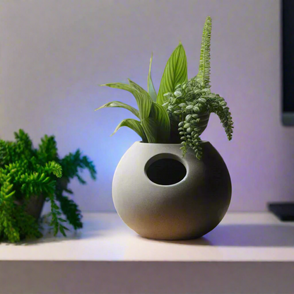 Stylish Self-Watering Plant Pot | Smart Grow | Customizable | 50+ Colors | 3D Printed