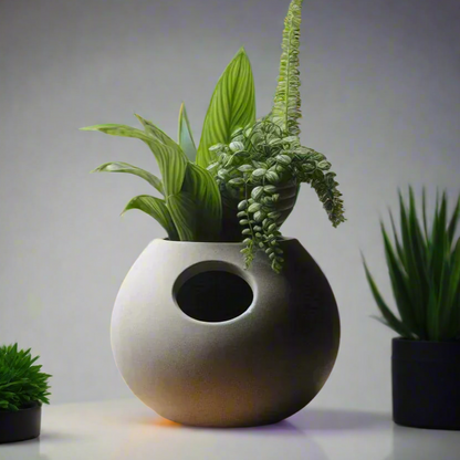 Stylish Self-Watering Plant Pot | Smart Grow | Customizable | 50+ Colors | 3D Printed