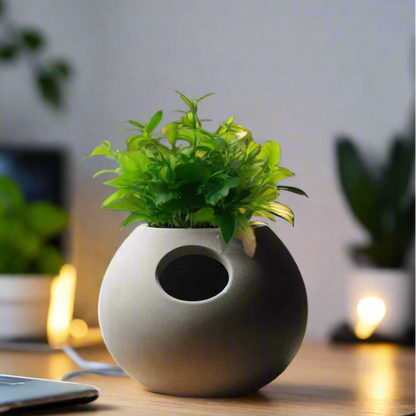 Stylish Self-Watering Plant Pot | Smart Grow | Customizable | 50+ Colors | 3D Printed