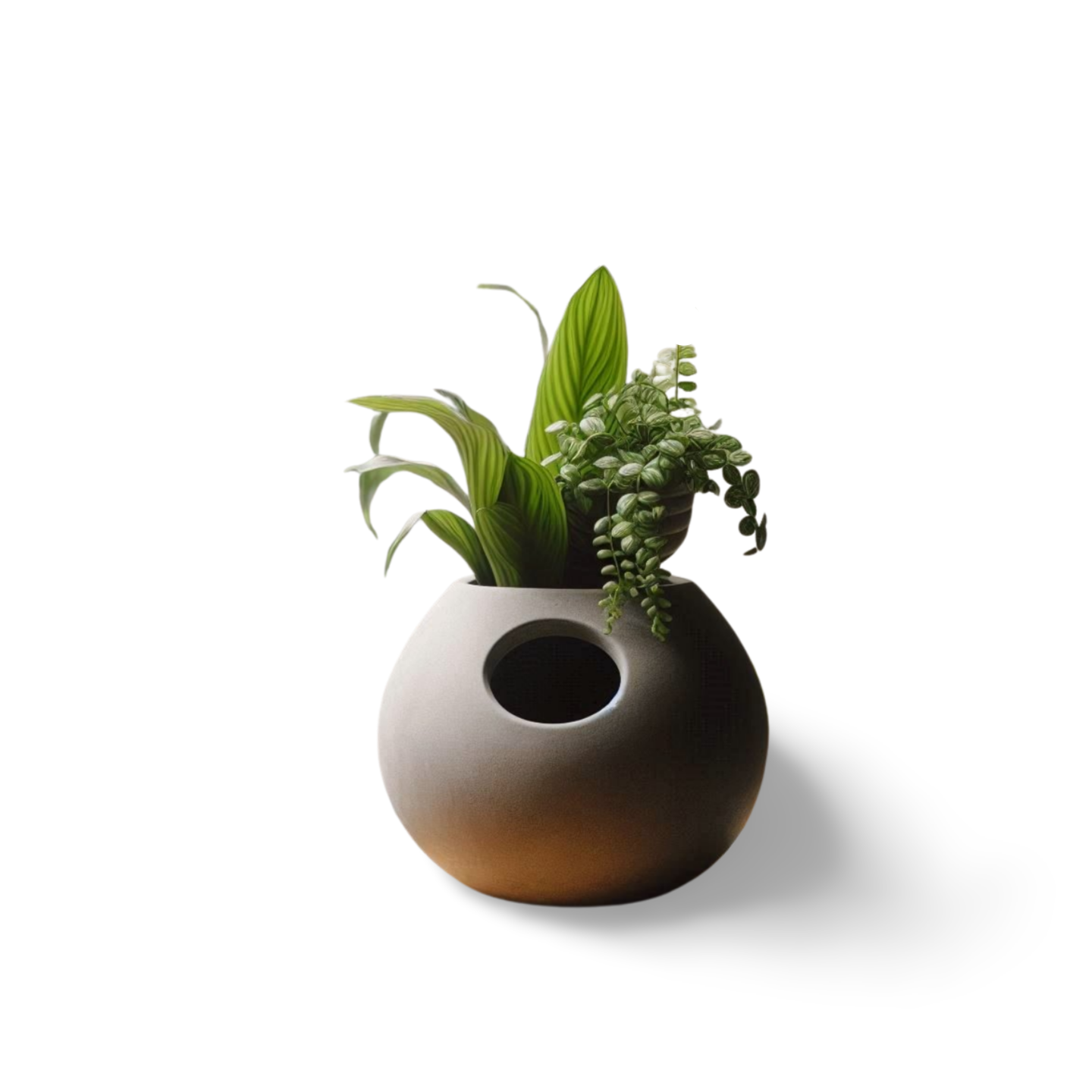 Stylish Self-Watering Plant Pot | Smart Grow | Customizable | 50+ Colors | 3D Printed