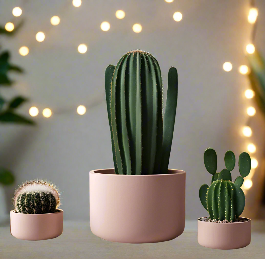 🌵 Cacti Planter Set Trio – Minimalist Style Meets Plant-Lover Function 3D Printed In Multiple Color Options