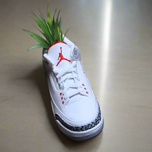 👟 Jordan 3- Succulent Display – Streetwear Meets Plant Decor 🌱 3D Printed