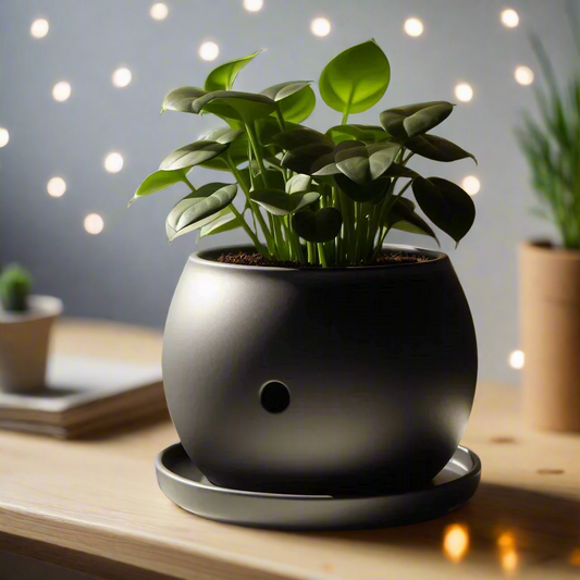 🌿 Self-Watering Round Plant Pot – Effortless Greenery, Elevated 3D Printed In Multiple Color Options 💧