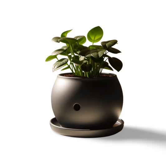 Self-Watering Round Plant Pot | Smart Grow |Customizable | 50+ Colors | 3D Printed